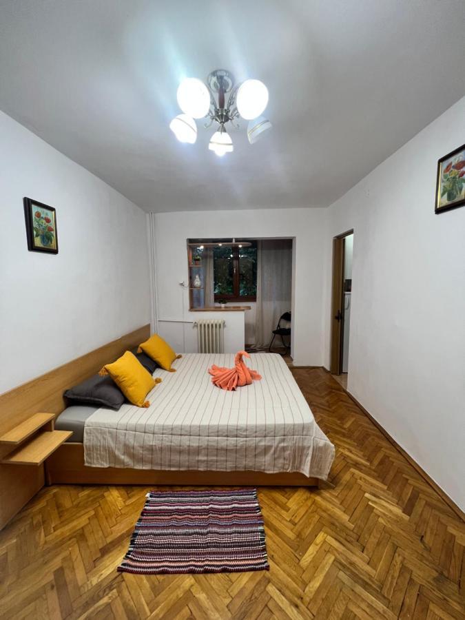 Miha Modern And Central Apartament Malul Muresului Арад Экстерьер фото