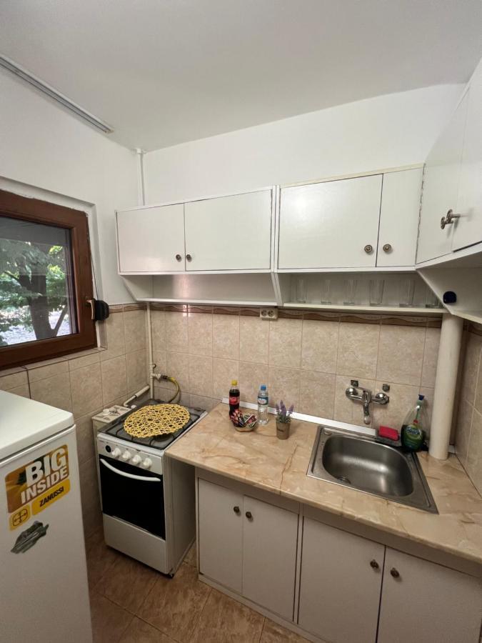 Miha Modern And Central Apartament Malul Muresului Арад Экстерьер фото