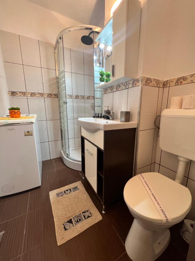 Miha Modern And Central Apartament Malul Muresului Арад Экстерьер фото